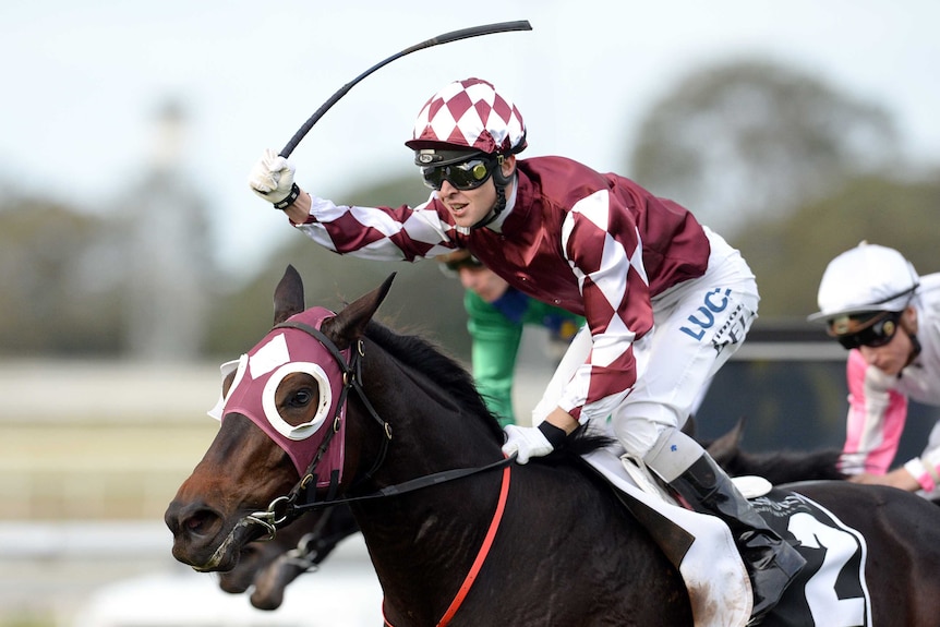 Jockey Timothy Bell rides Tinto to win the Queensland Oaks at Eagle Farm Racecourse in Brisbane in 2014.