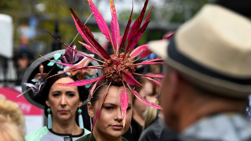 A woman wears a large fascinator of pink feathers.