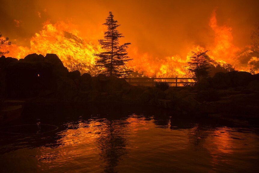 Flames from the Sand Fire engulf hills near Santa Clarita, California.