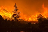 Flames from the Sand Fire engulf hills near Santa Clarita, California.