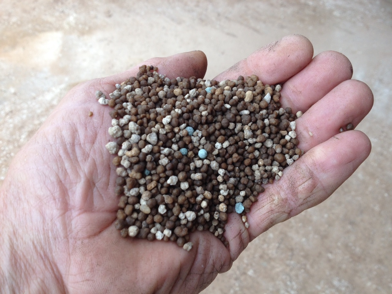 A weathered hand holds fertiliser which is charcoal and white coloured grounds