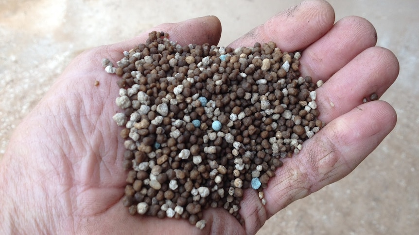 A weathered hand holds fertiliser which is charcoal and white coloured grounds