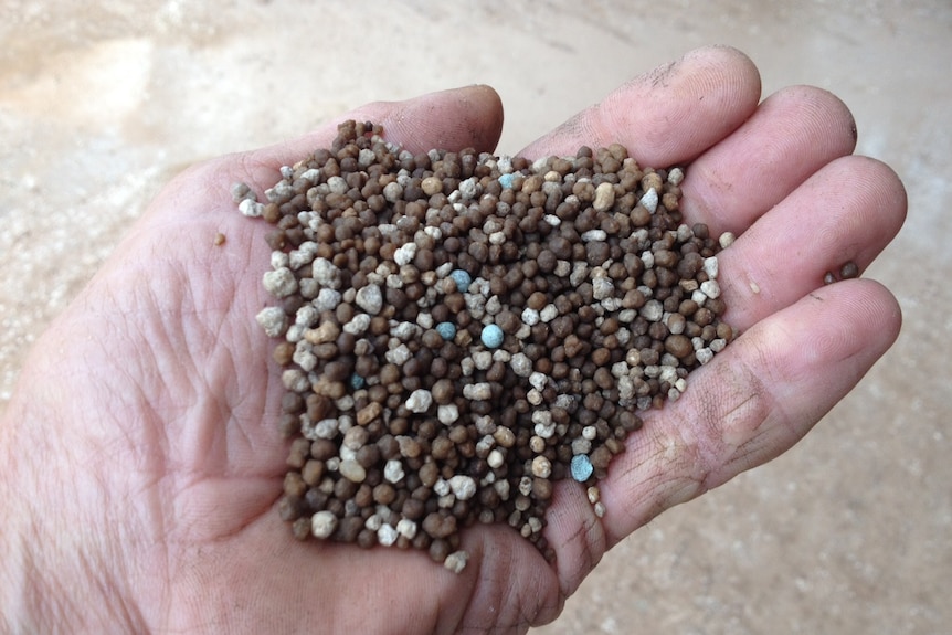 A weathered hand holds fertiliser which is charcoal and white coloured grounds