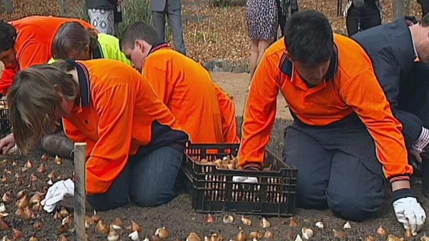 Gardeners and students from The Woden School have begun planting bulbs for Floriade 2014.