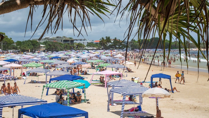 Cabana shade shelters on a packed beach.