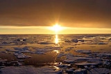Arctic Ocean (File image: AFP/NASA)