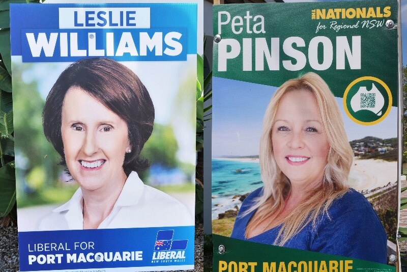 Leslie Williams blue Liberal campaign sign, next to Peta Pinson's Green Nationals campaign sign 
