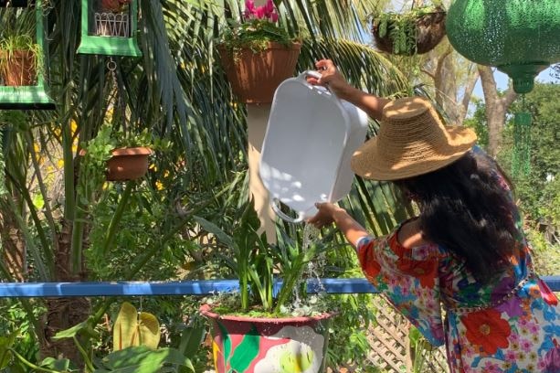 Woman pours water from a tub onto plants.