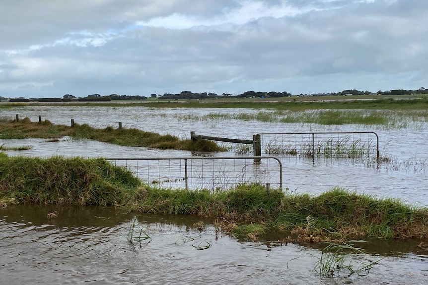 Flooded paddocks