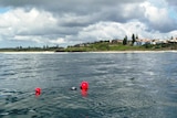 Buoys attached to a shark drum line off Ballina