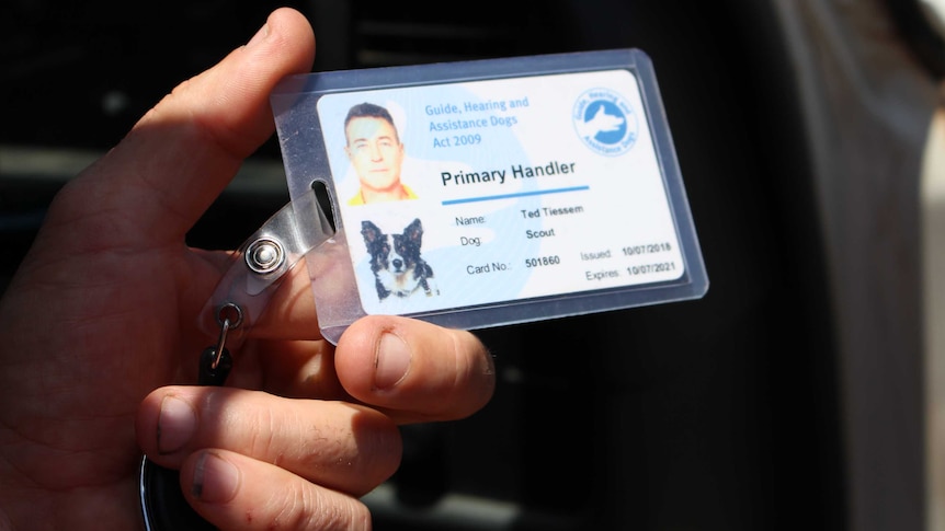 A hand holding a Guide, Hearing and Assistance Dogs handler card.
