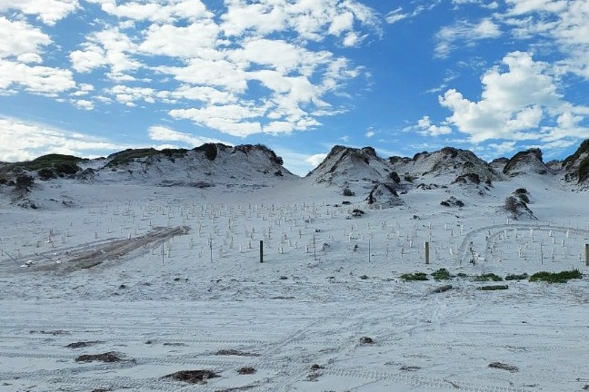 sand dunes with tyre tracks in the sand, with blue sky and clouds visible in the background