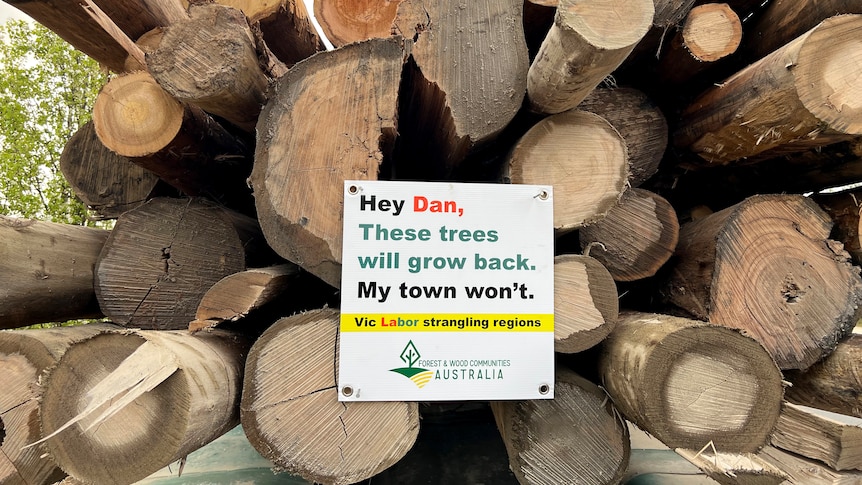 A sign fixed to the back of a truck load of logs reads 'Hey Dan, These trees will grow back. My town won't'.