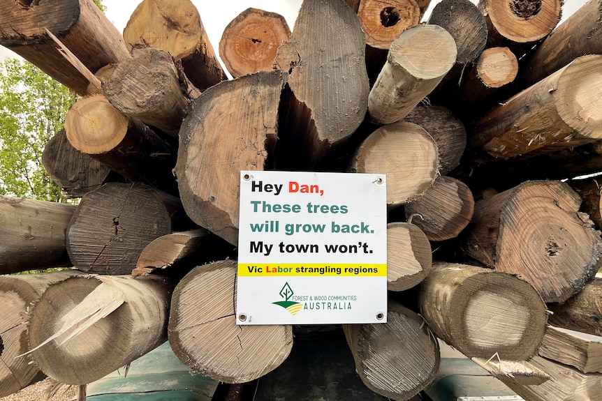 A sign fixed to the back of a truck load of logs reads 'Hey Dan, These trees will grow back. My town won't'.