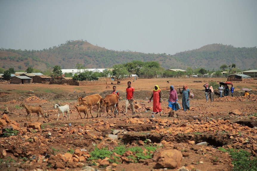 Half a dozen African people with livestock walk across rocky terrain with houses and hills in background.