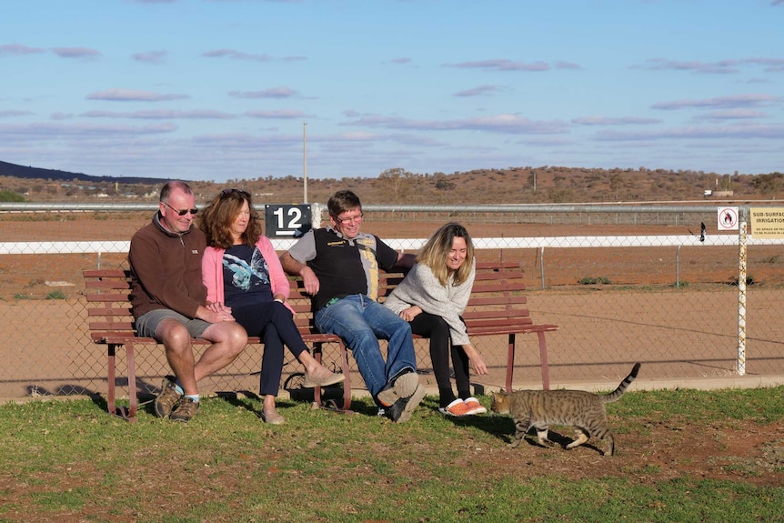 Two men and two women sit on a bench in front of a dirt race track, one reaches out to pat a cat.