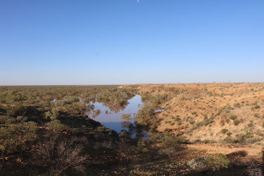 A view of the Queensland Channel Country with greenery on the left and dry dust on the right.