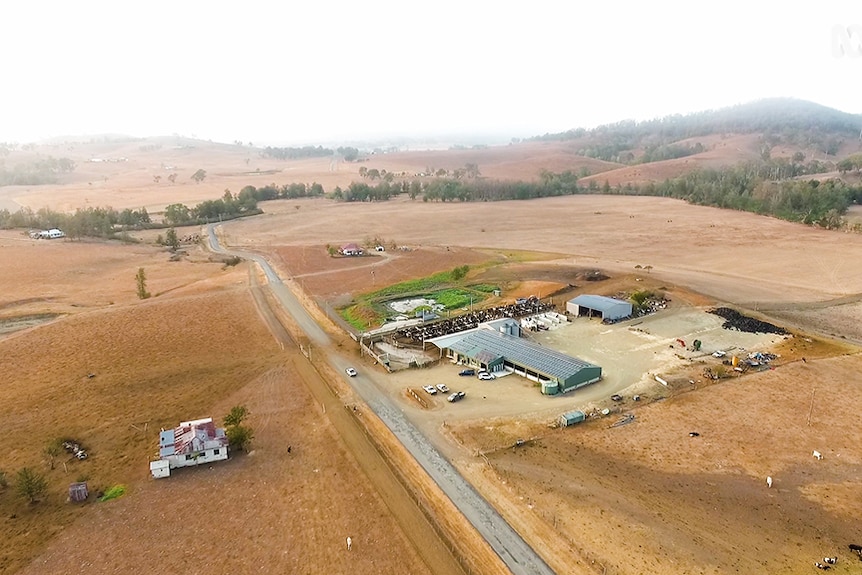 Aerial photo of a dairy with buildings, cows and a dry brown landscape.