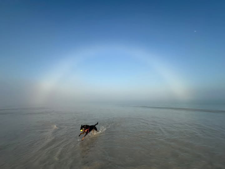 Broome disappears into thick fog as WA wet season nears