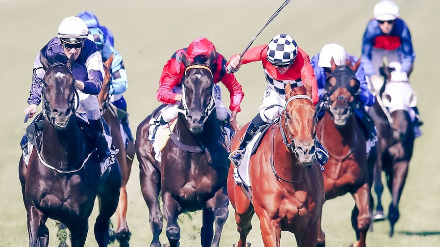 A photo of race horses and their jockeys galloping in a race.