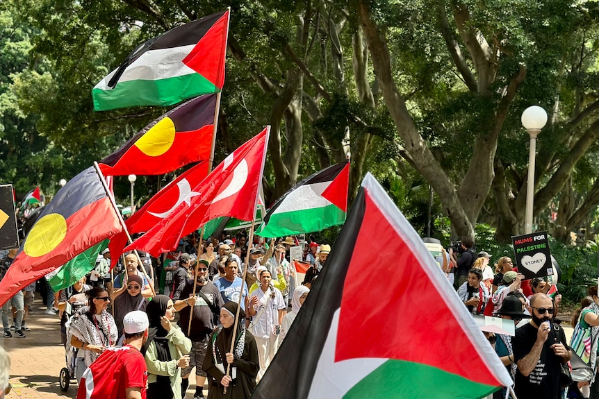 Protesters fly Palestinian and Aboriginal flags at a rally 
