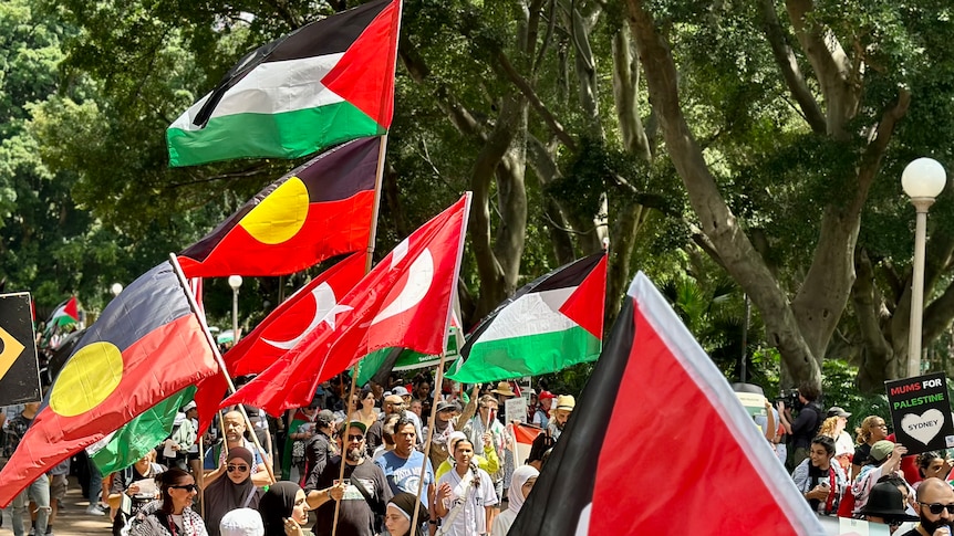 Protesters fly Palestinian and Aboriginal flags at a rally 