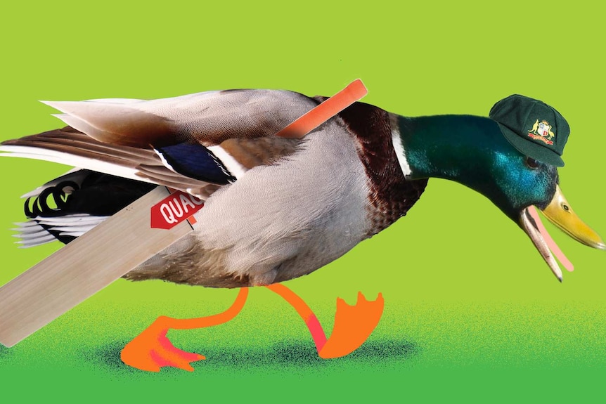 An image of a duck holding a cricket bat and wearing a "baggy green" Australian cricketing cap.