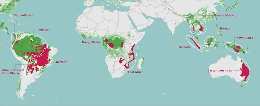 A map showing global deforestation hotspots