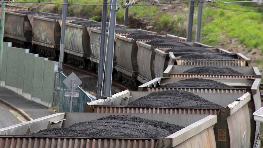 Coal is carried in train cars