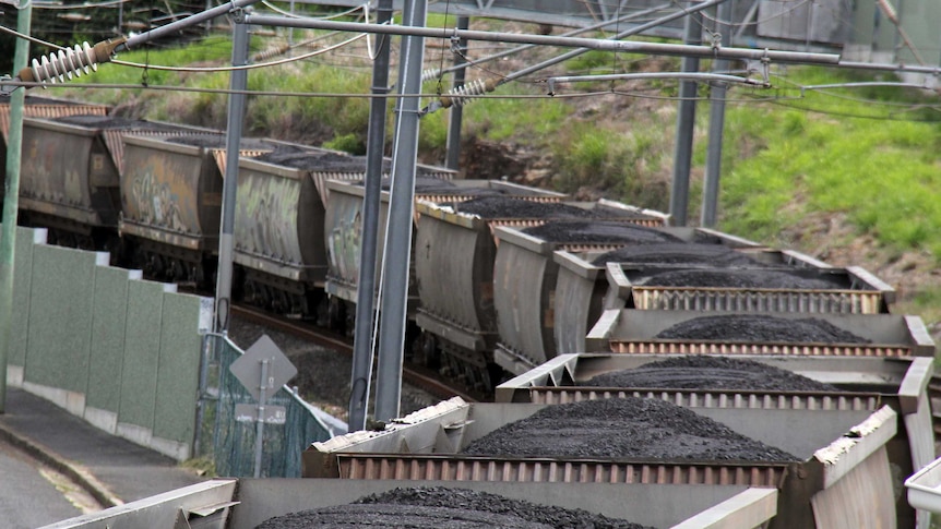 Train carts carrying coal