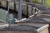 Coal is carried in train cars