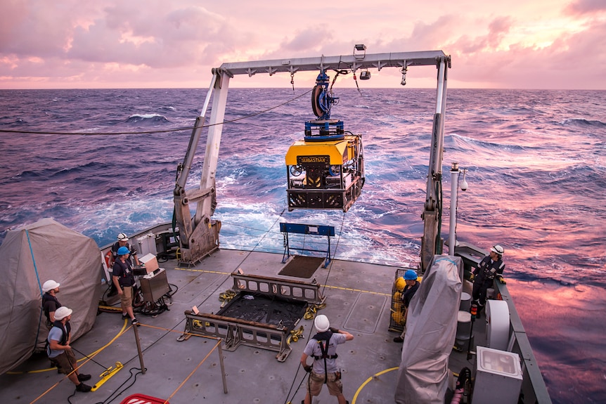 The Falkor’s SuBastian ROV getting pulled up out of the ocean.