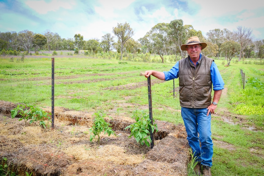 A man in a hat leans on an iron post beside a tomato bed