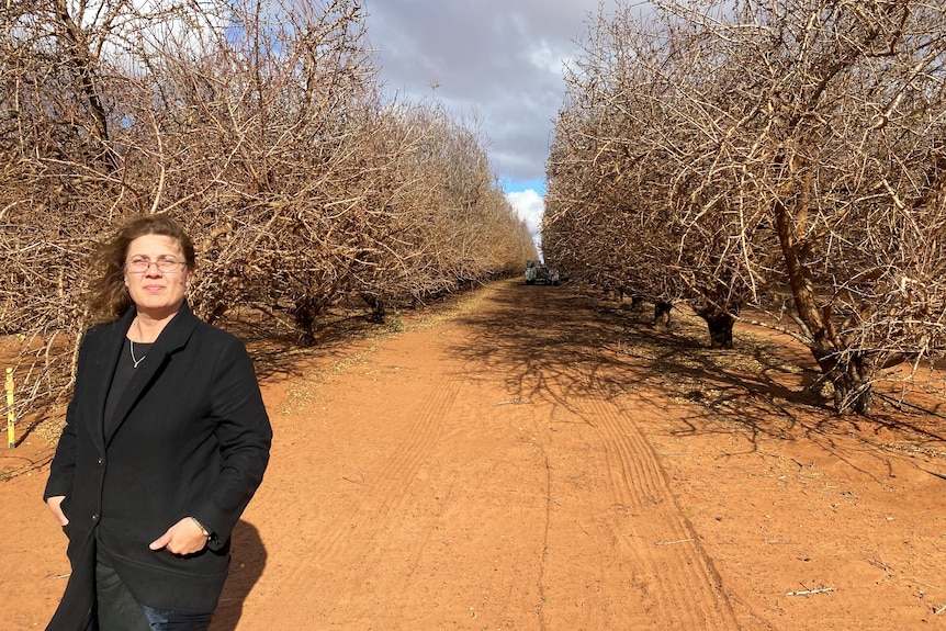 Woman stands in the middle of almond trees with red dirt underfoot.