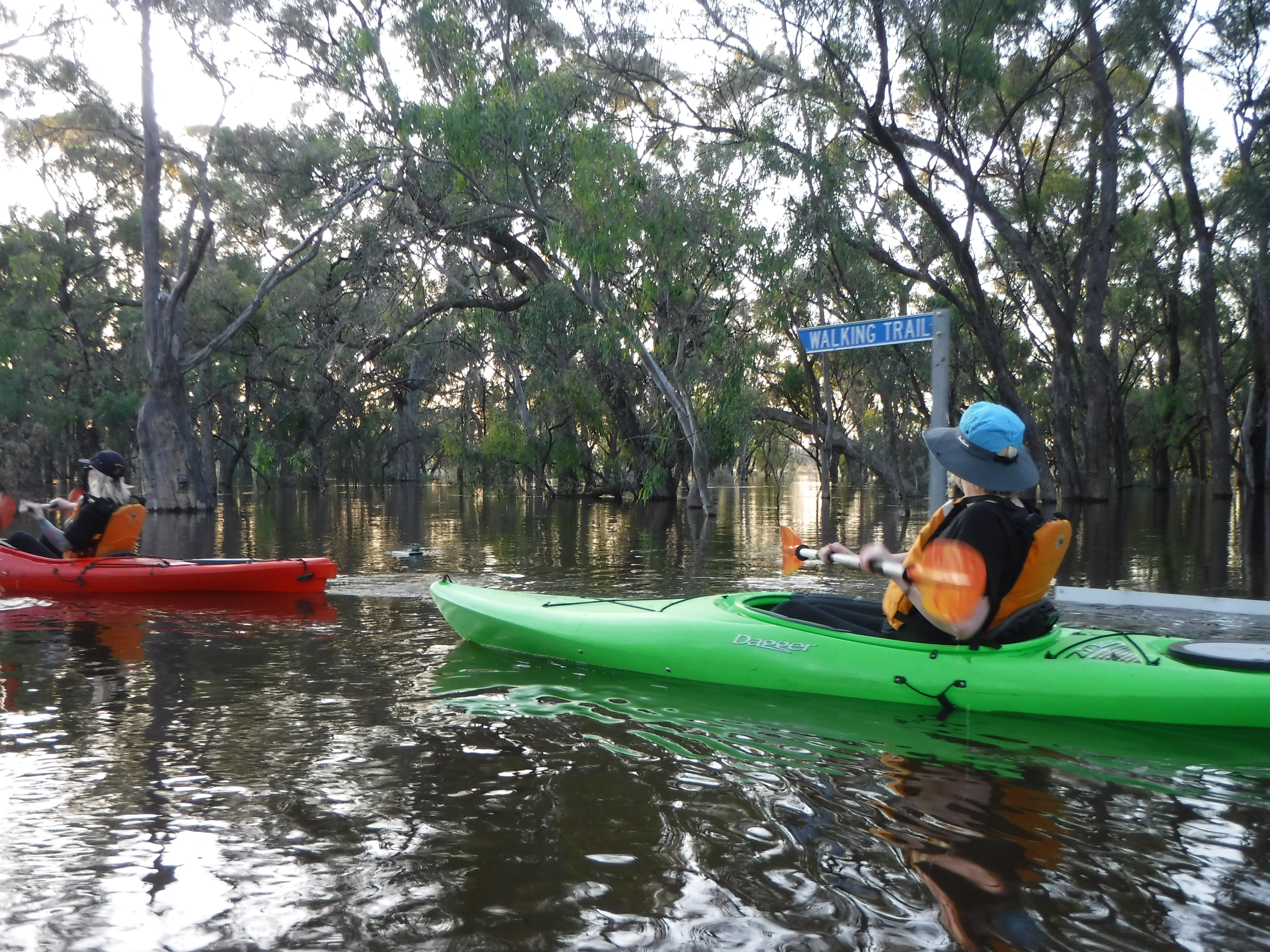 A person in a canoe paddles past a sign that says 'waking trails'