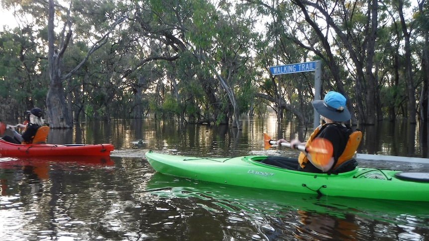 A person in a canoe paddles past a sign that says 'waking trails'