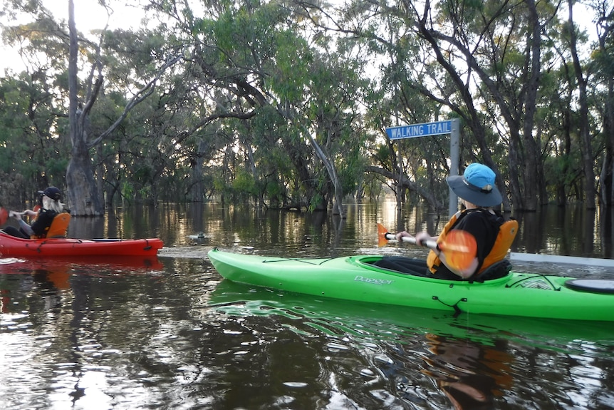 A person in a canoe paddles past a sign that says 'waking trails'