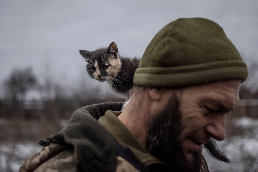 A cat sitting on the shoulder of a man wearing a khaki beanie. 