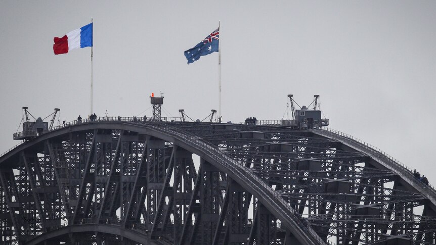 Australian and French flags are flown above the Harbour Bridge following Paris terror attacks