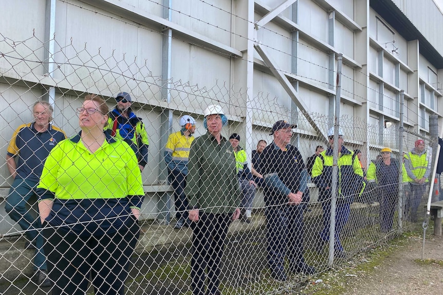 two rows of factory workers stand behind a wire fence