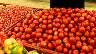 New tomato to reduce instances of cancer