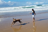 Girl holding a ball with dog running on beach.