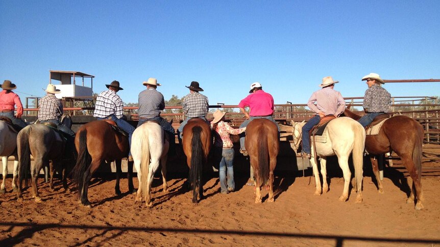 Campdraft and gymkana participants at Windorah