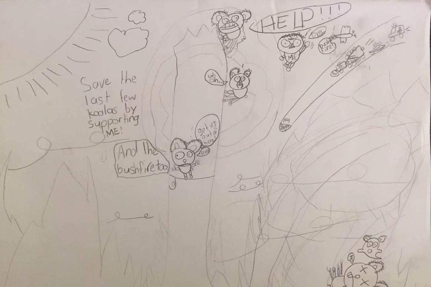小学生伊森·王用画作来表达自己对新州山火受灾地区的关切