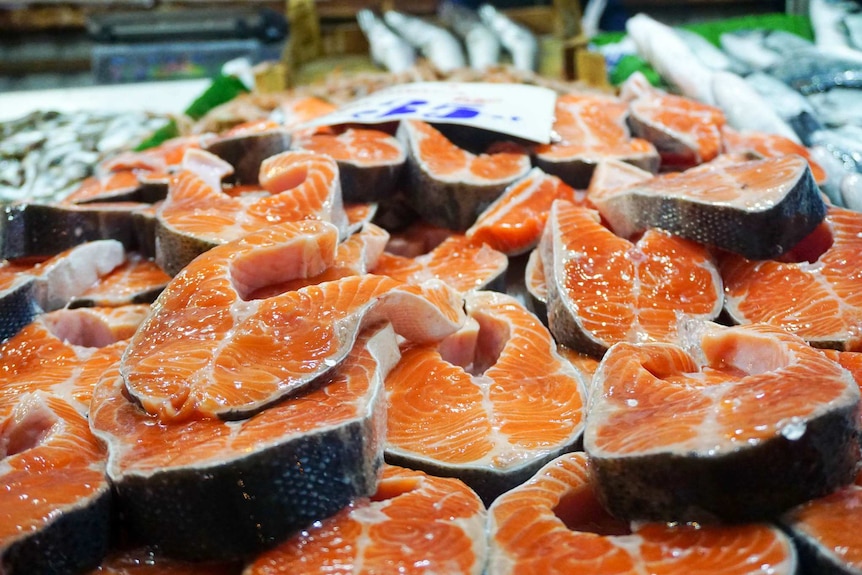 Big pieces of Norwegian salmon are stacked on top of each other in a fridge at a supermarket.