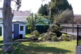 Wind rips off tree branches in a Newcastle backyard