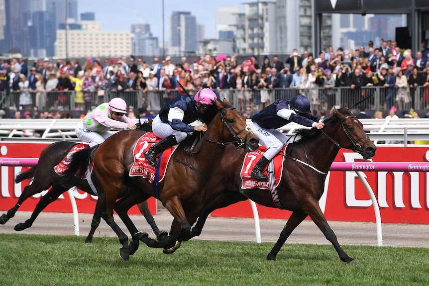 Melbourne Cup winner crosses the finish line