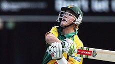 So close...Paine came within two runs of equalling David Warner's fastest-50 record. (file photo)