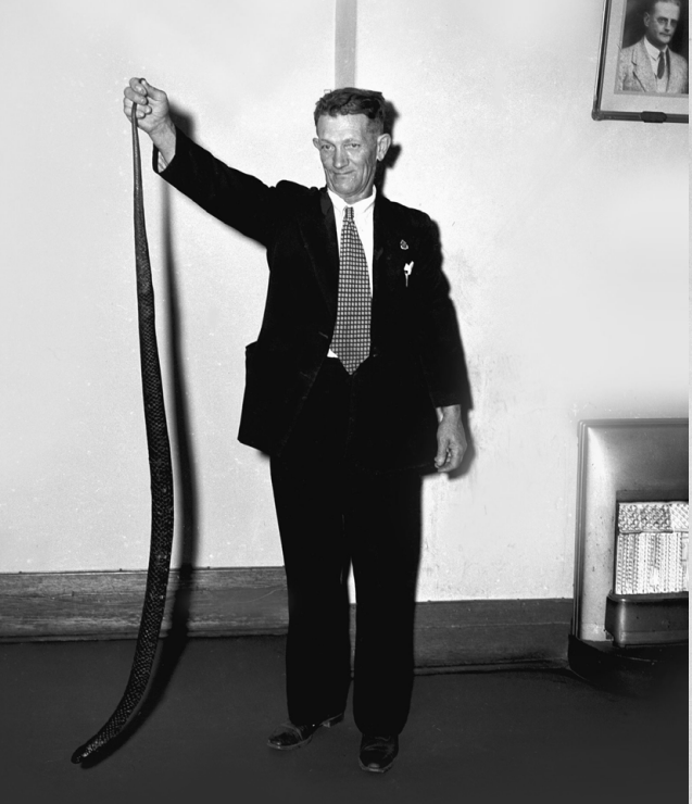 a black and white photo of a man in a suit holding a very long black snake