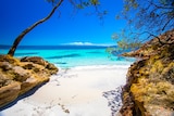Clear blue waters and white sandy beach at Jervis Bay